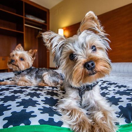 Pension Viella Asturias Овьедо Экстерьер фото